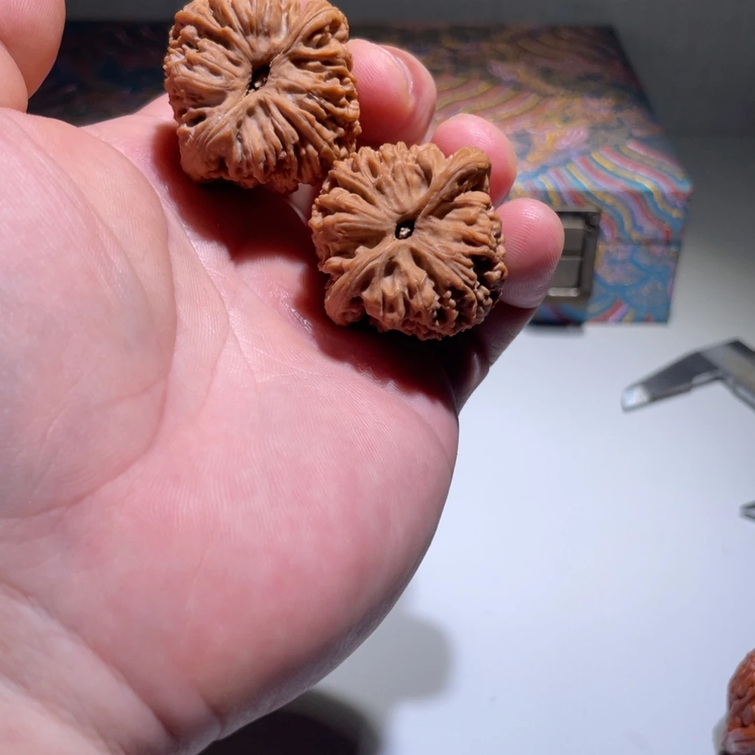 文玩核桃把件C****l37全品南疆