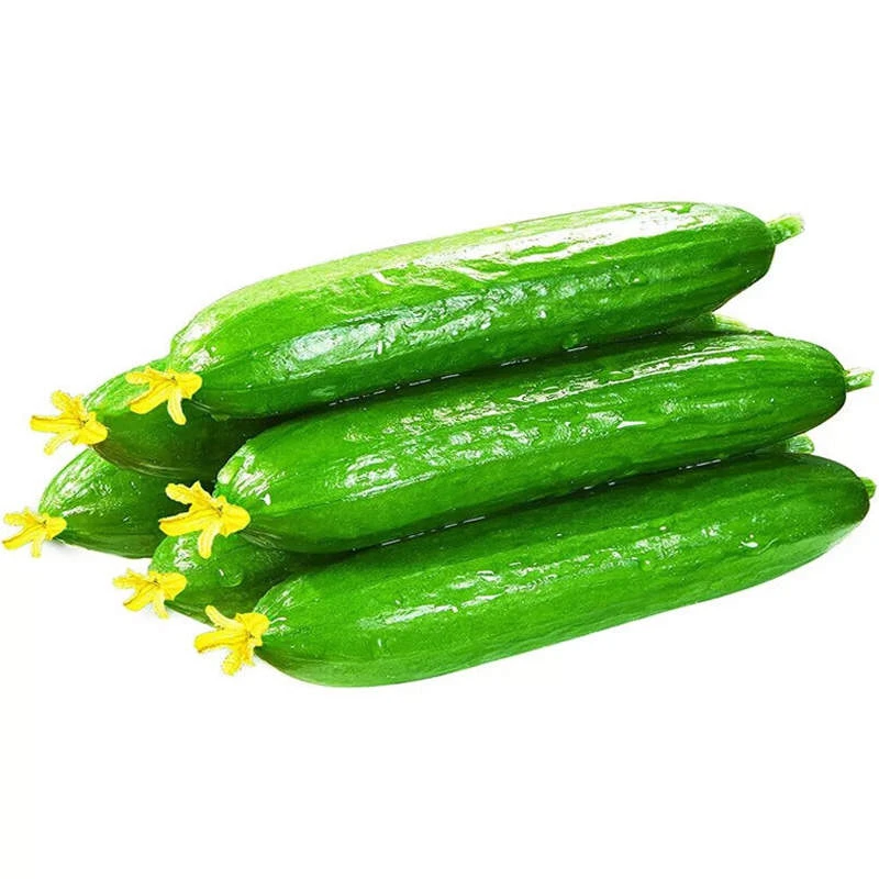 缤纷田园乳瓜 约850g