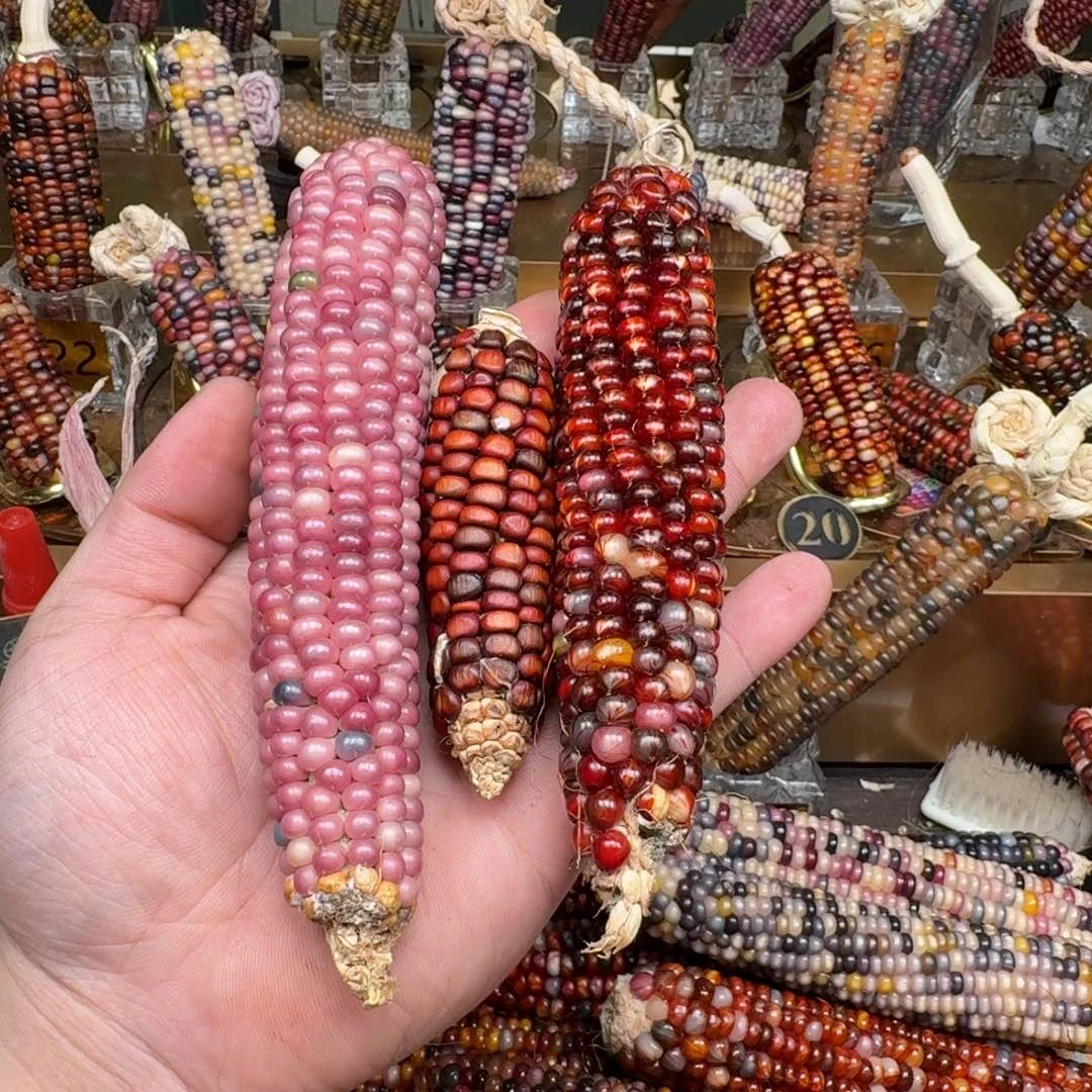 柏香籽/百香籽吊坠一****.