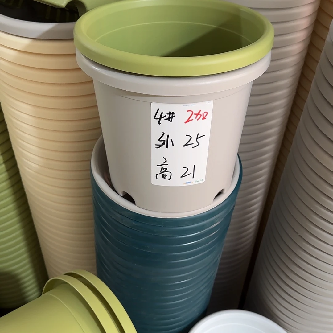 微瑕4号8个无托，灰白