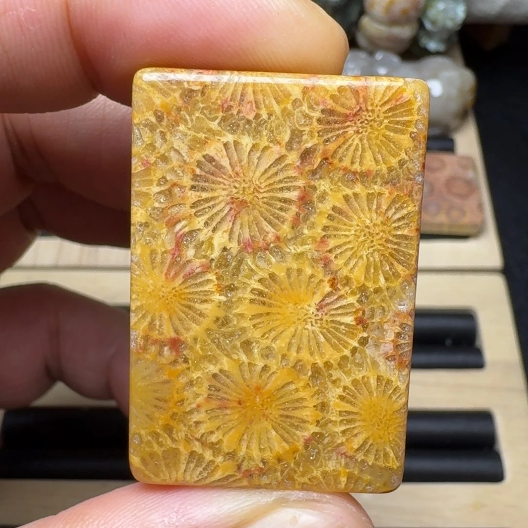 硅化玉未镶嵌纯天然色有机玉石保真色