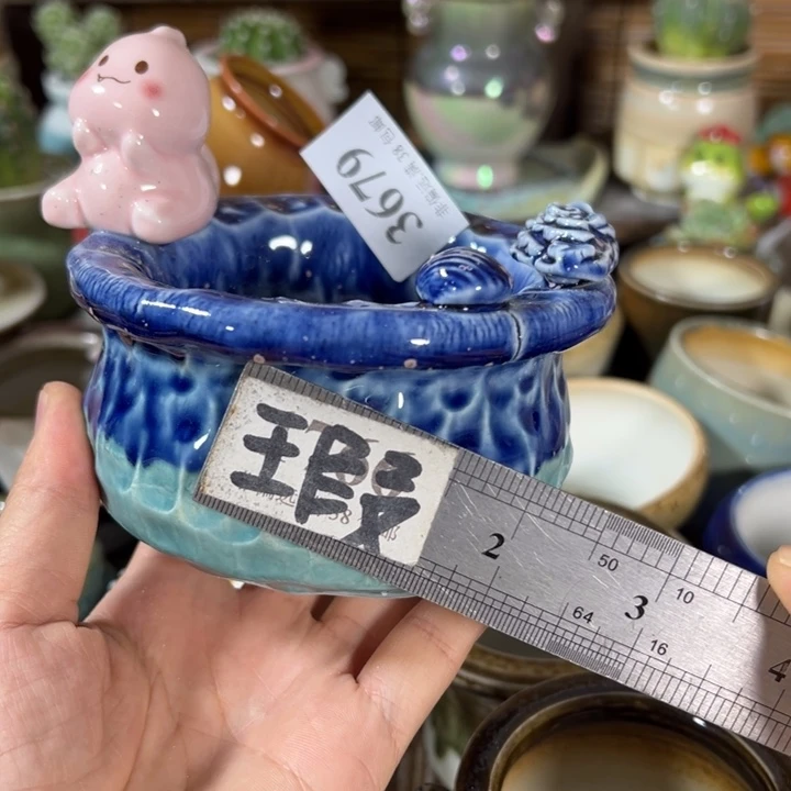 口7高6    活动价满30包邮