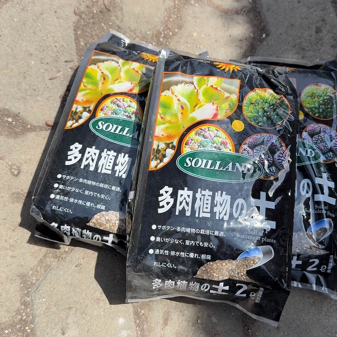 ****十包土多肉植物精品