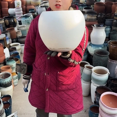 20口23高瑕疵盆子。