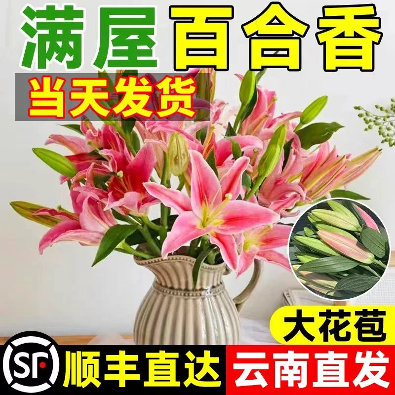 香水百合花鲜花束香水真花水养云南昆明基地直发速递同城批发鲜花