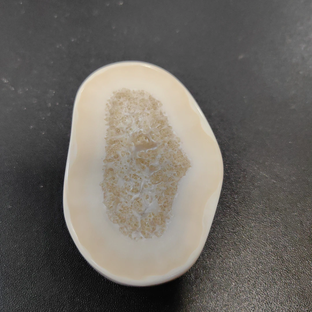 猛犸猛犸虬饼子 WW923