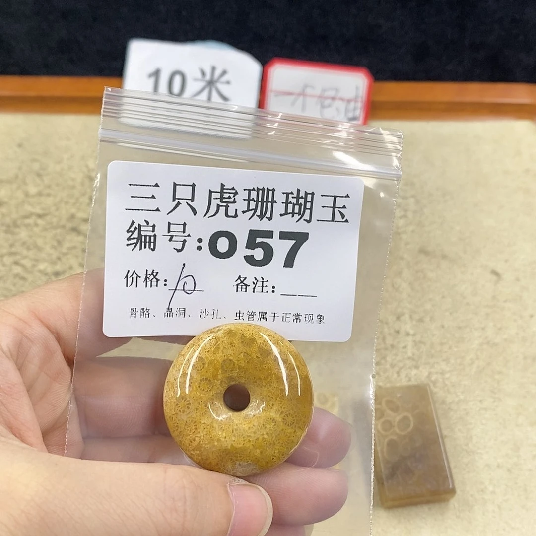 硅化珊瑚（珊瑚玉）1未镶嵌健**宁