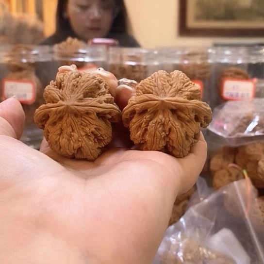 文玩核桃吊坠40大粗筋