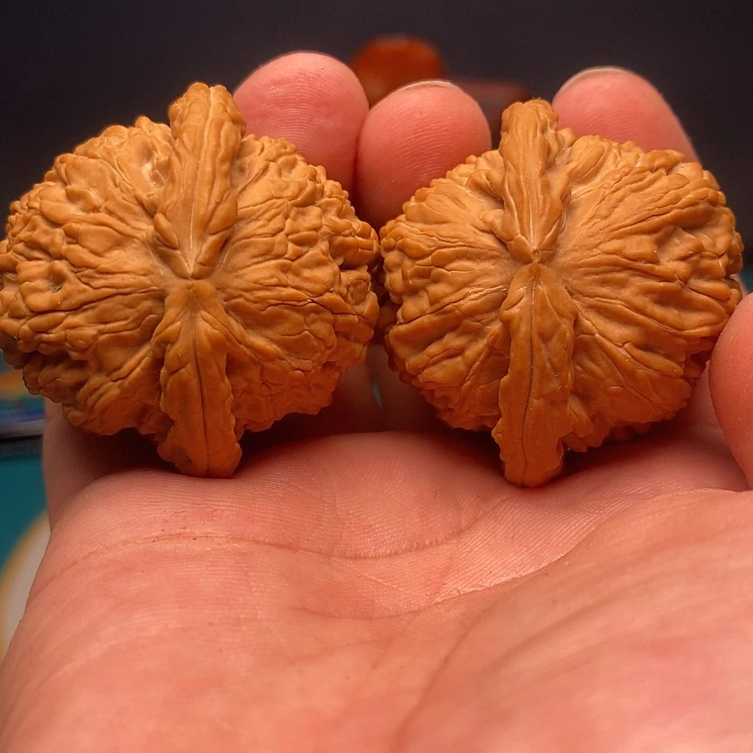 文玩核桃把件46大白全品