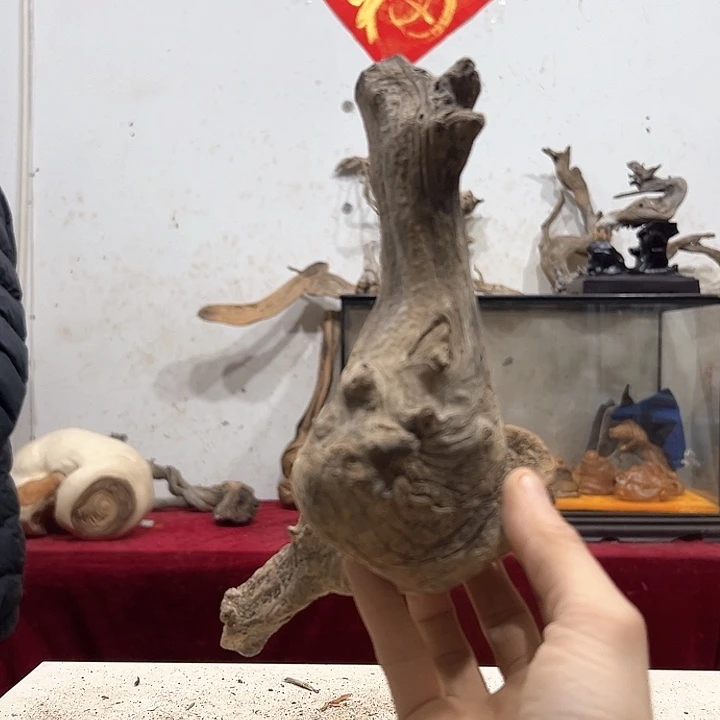 柏木?****狼我们的生活是以