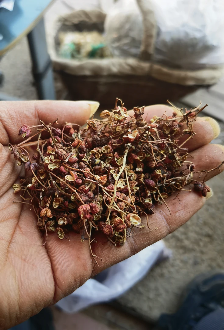 蓟县,大山原味花椒,风味浓郁原汁原味不漂不染,不熏
