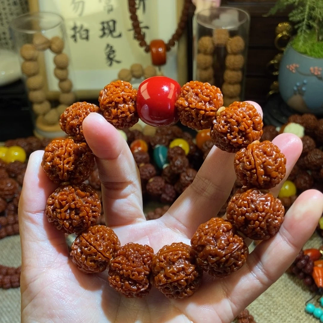 金刚菩提手串236玉化红