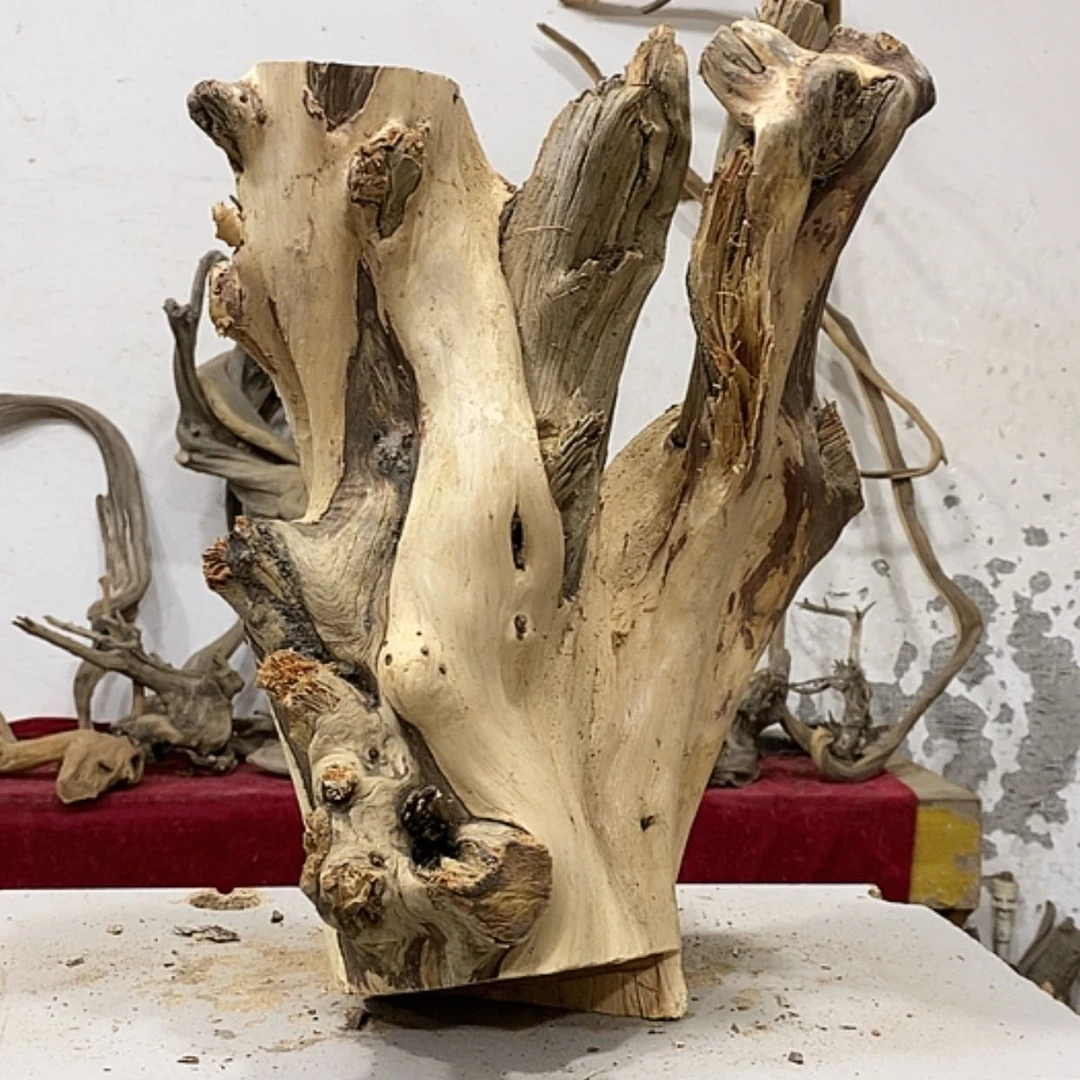 【闪购商品】柏木上****啦我们都是好孩子