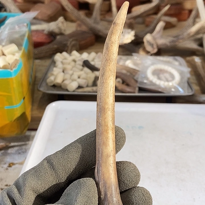 <***>大叶紫檀（黑酸枝木类）