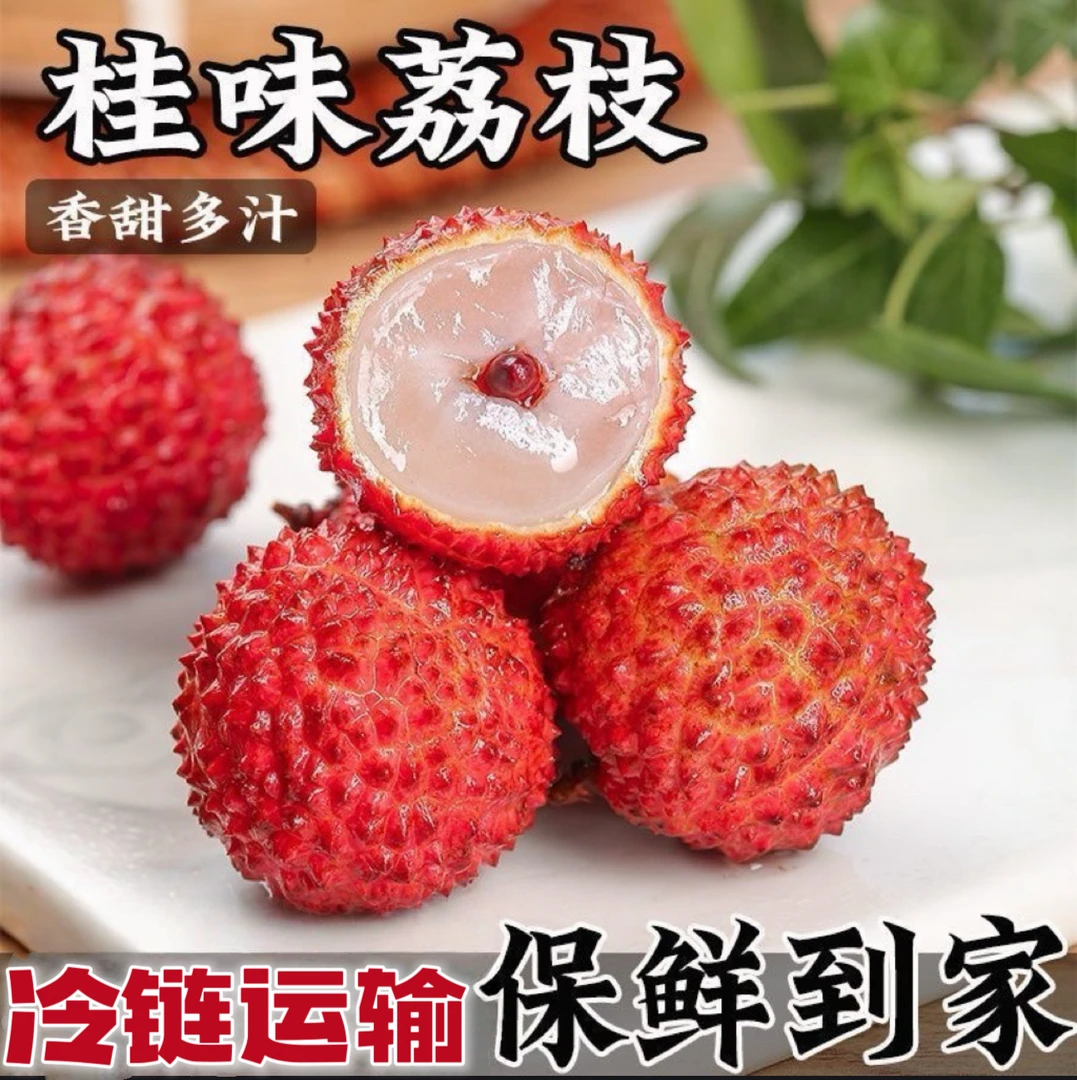【冷链运输】广东桂味荔枝岭南爆甜荔枝新鲜当季水果超甜一整箱
