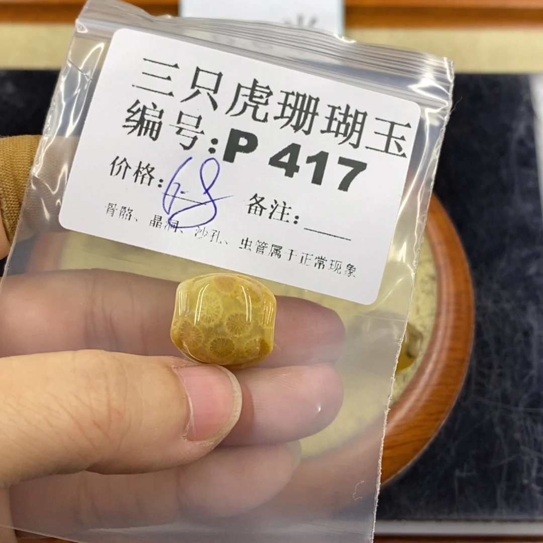 硅化珊瑚（珊瑚玉）1未镶嵌?****?