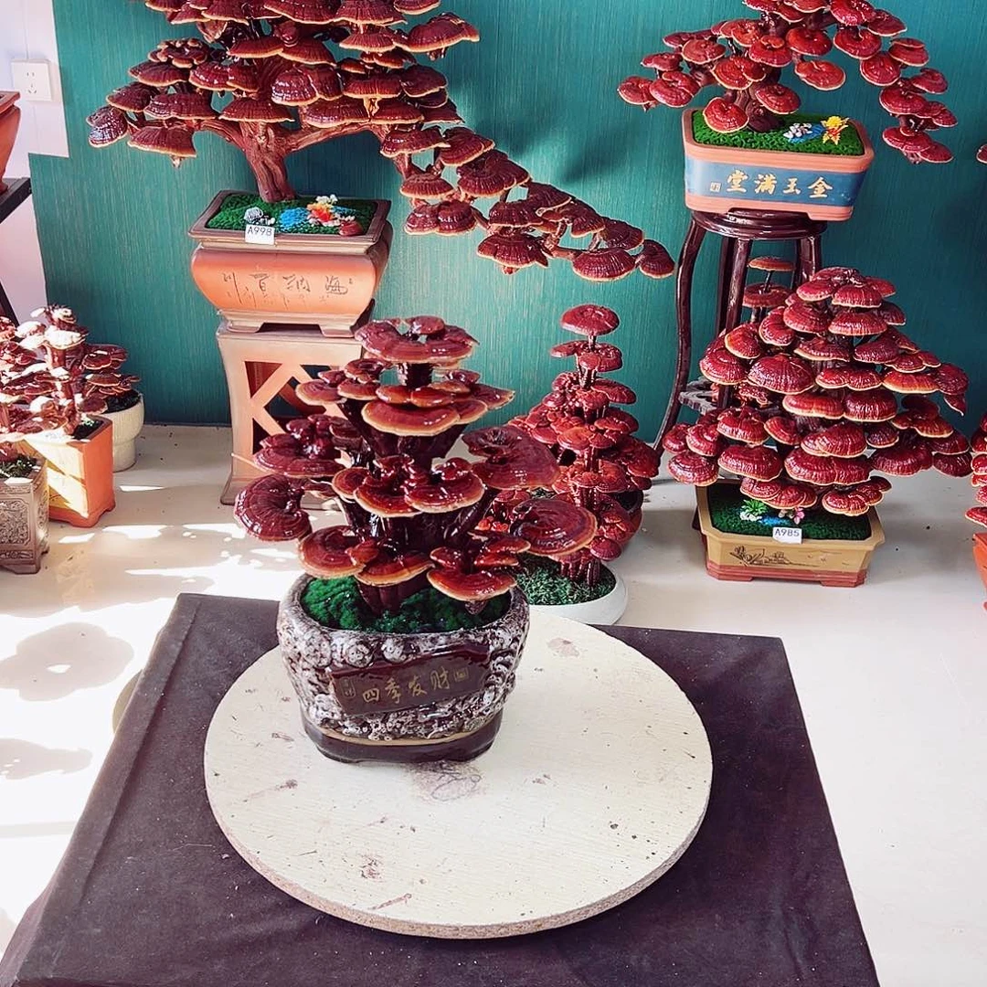 【闪购商品】全部花朵