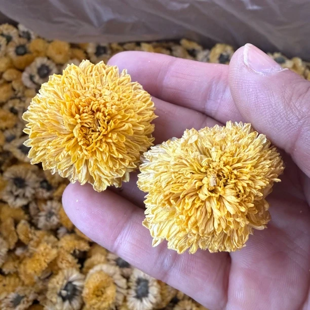 【小伟赶集】农家晒干球菊