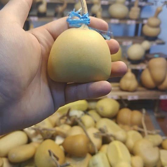 Y****纯棉哈哈哈哈哈哈哈哈