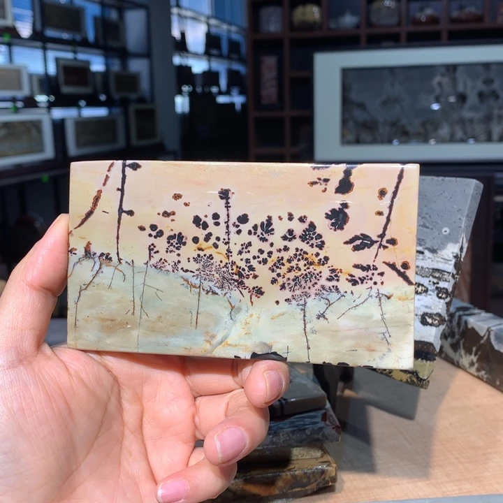 广西国画石摆件，观赏收藏