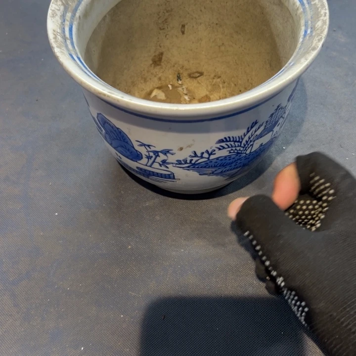 曜***瓷片拾六家的瓷器瓷器