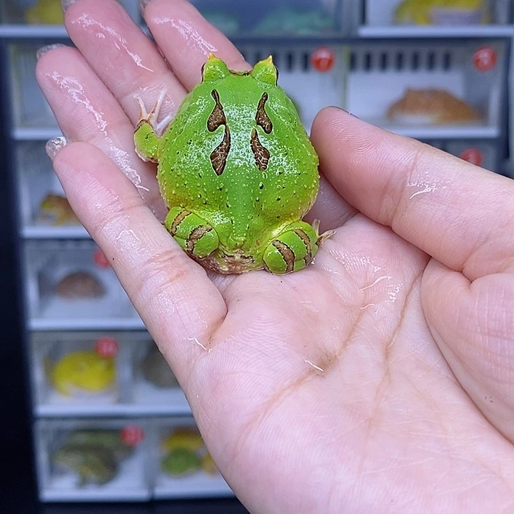 特价秒杀现货特价残