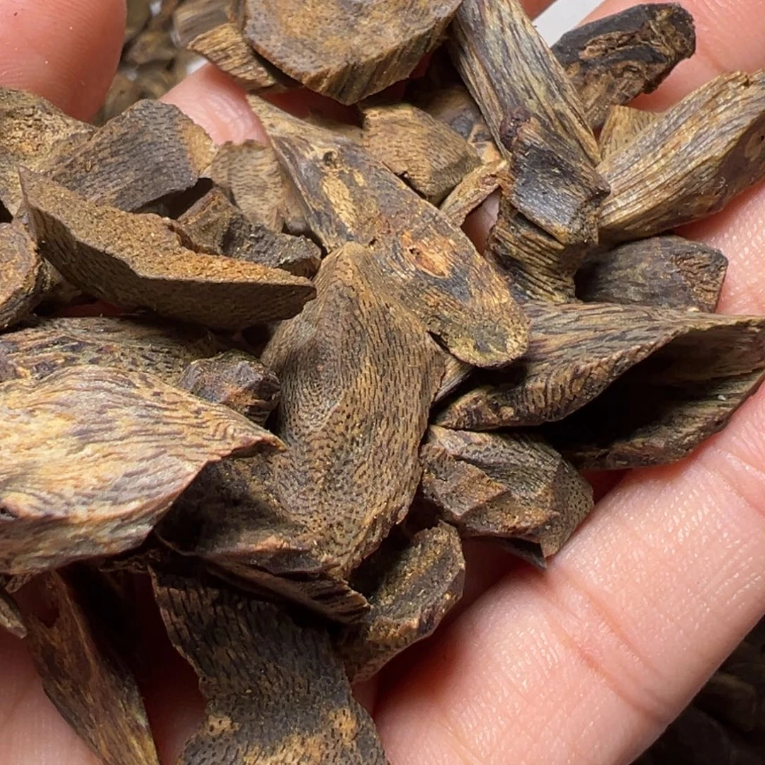 原***来树脂制品海南张勺子树丁料50g