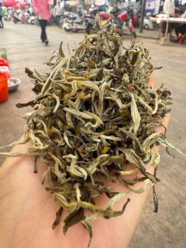 2025年春，清甜（白毛尖绿绿茶）