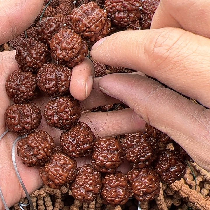 金刚菩提手串鬼*好评