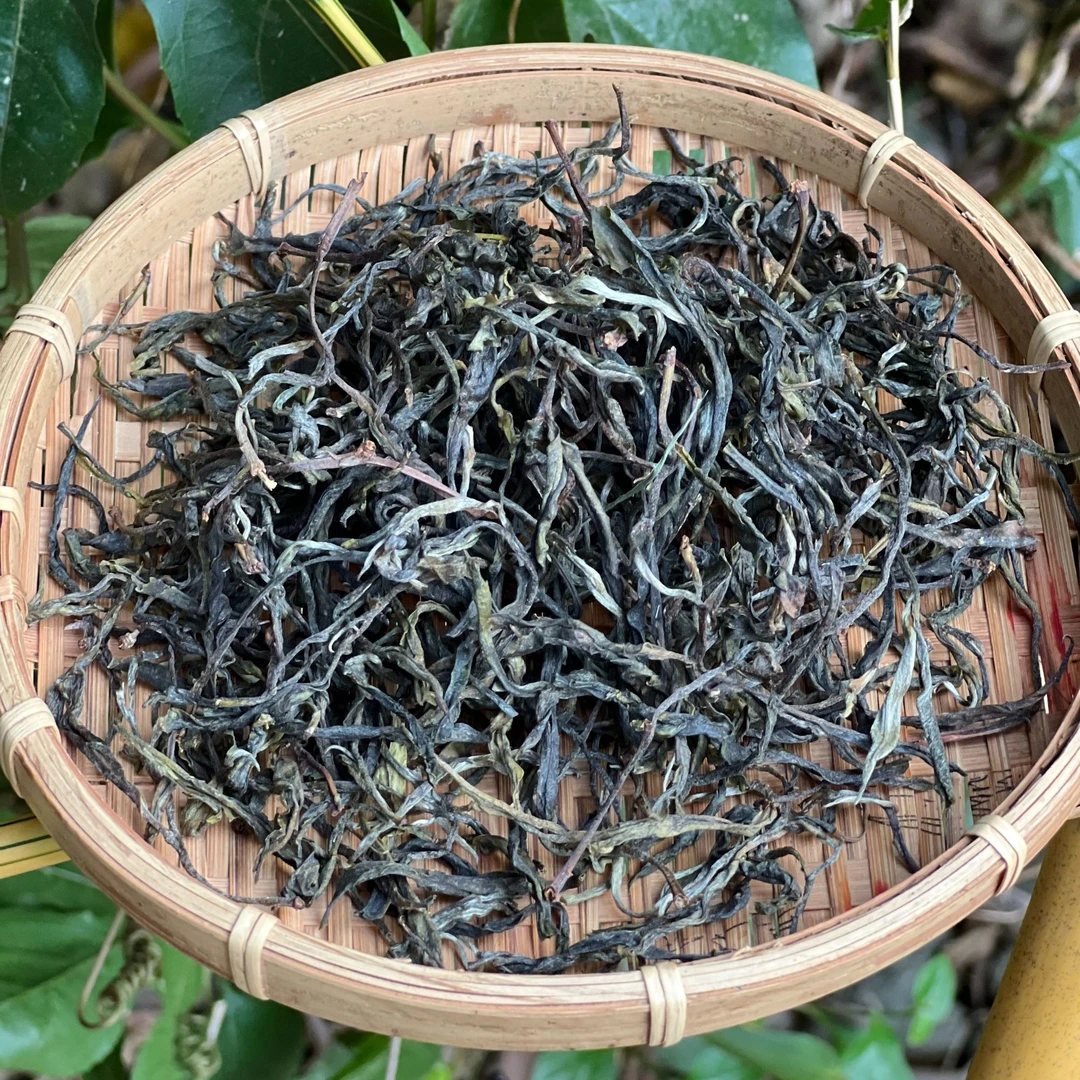 2025 麻黑古树 头春头采 普洱茶生茶100克罐装（带茶样）