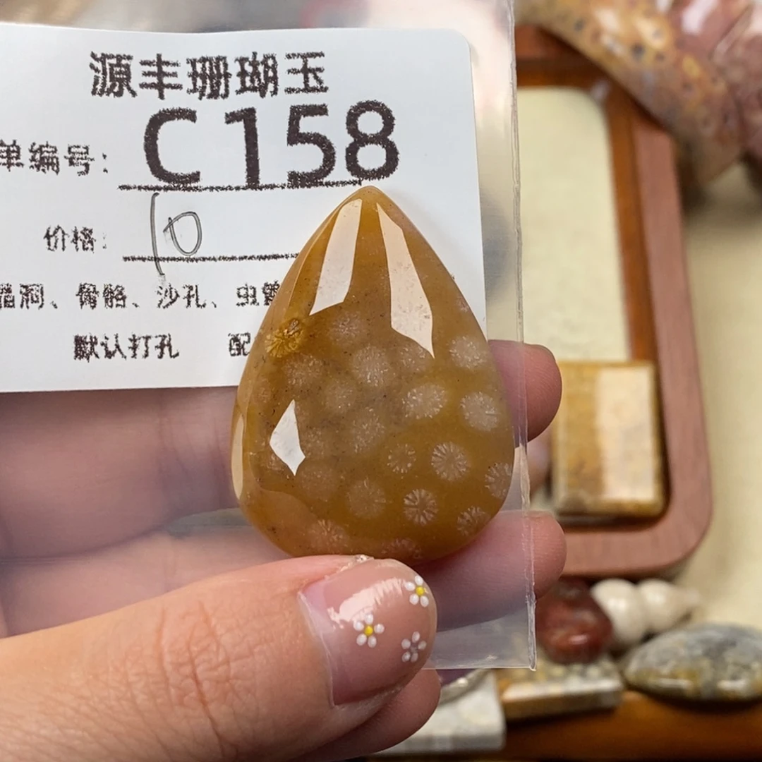 邶***风硅化玉未镶嵌颈饰