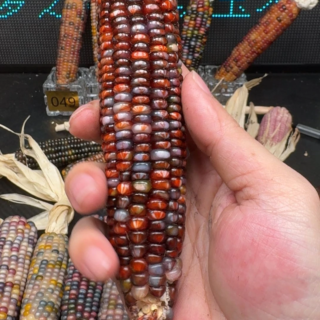 柏香籽/百香籽吊坠M**y