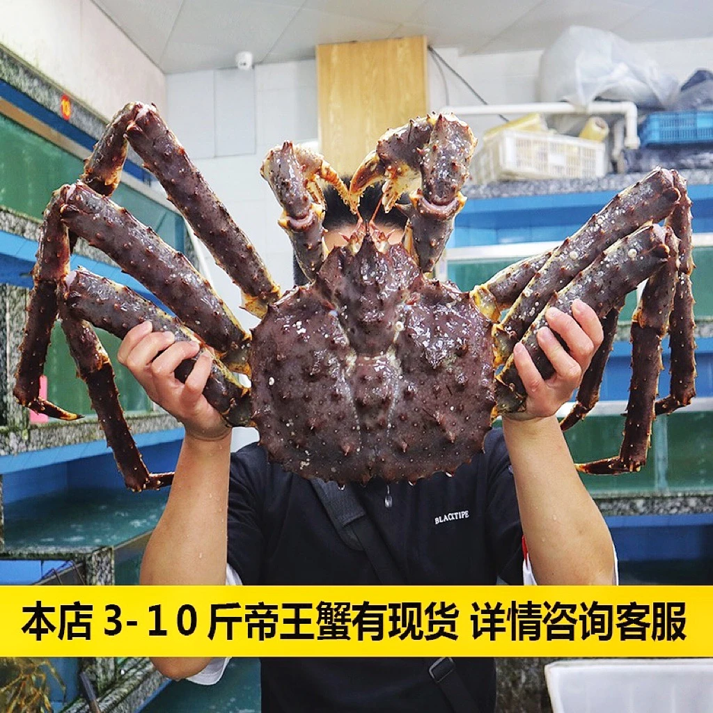 帝王蟹超特大10超低温锁鲜发货生冻长脚蟹帝皇蟹新鲜到家