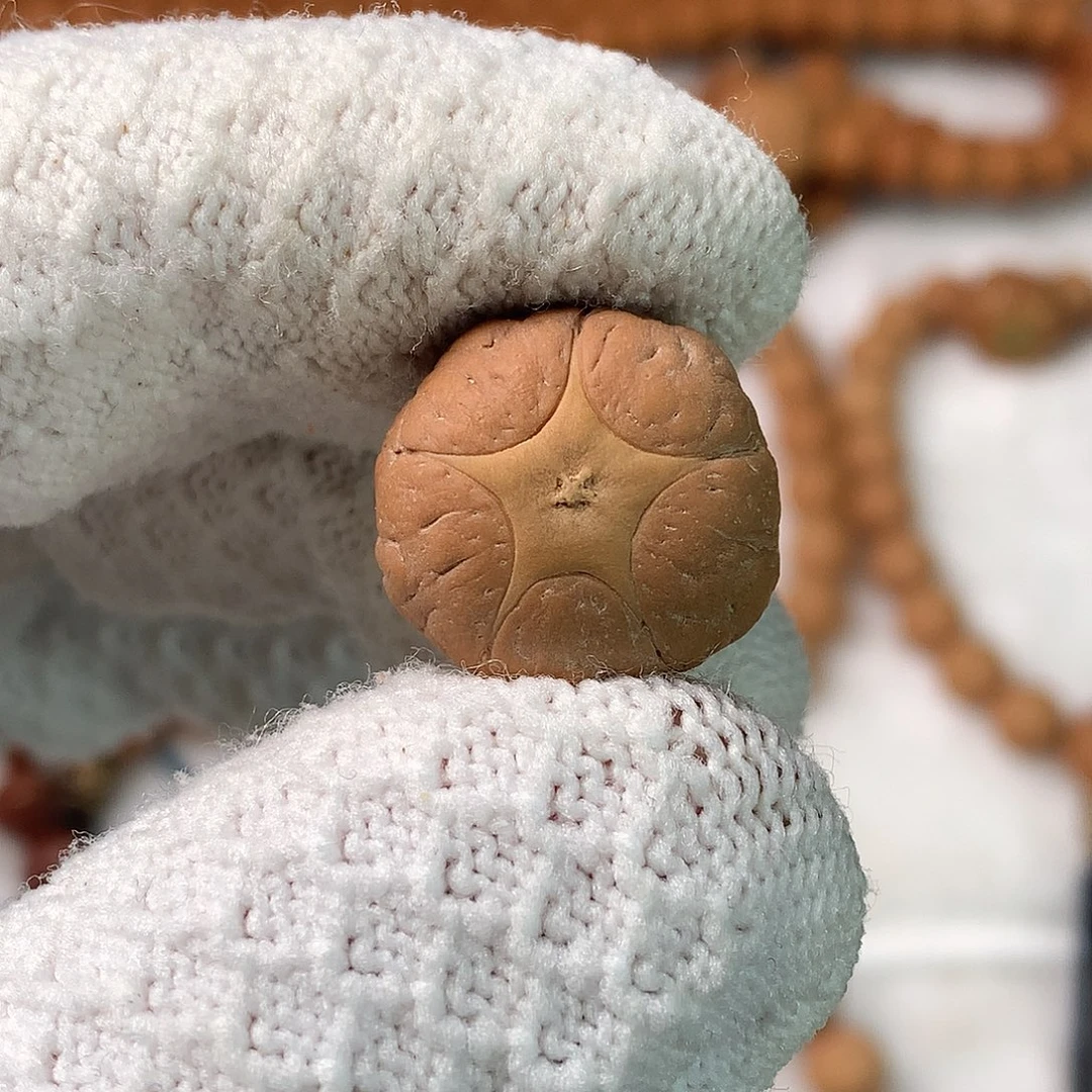 凤眼菩提手串19mm五星