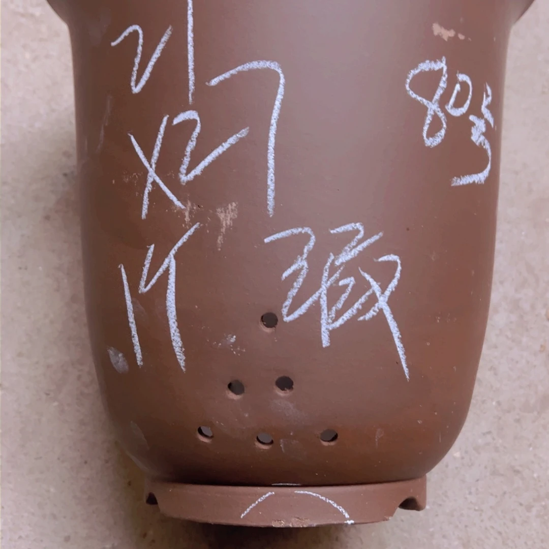 紫砂80……………………………………