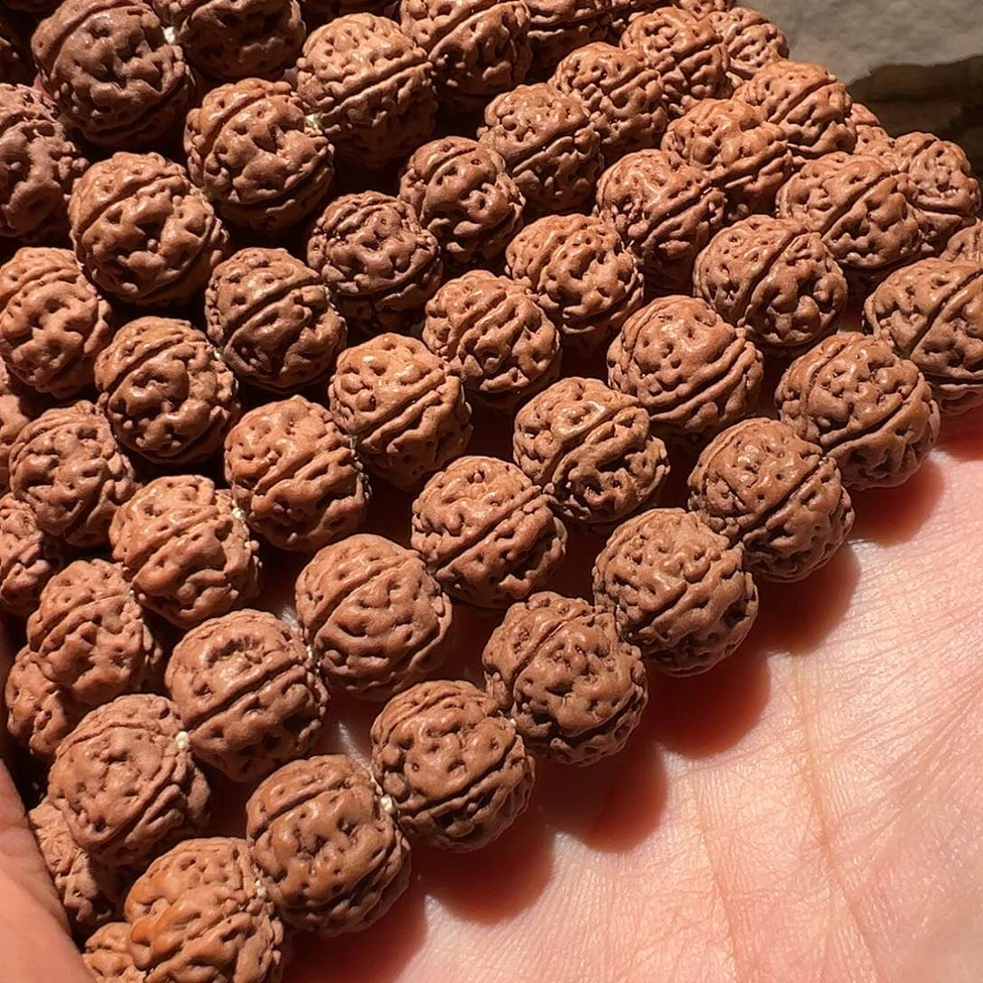 金刚菩提手串老树王12尺寸左右福利