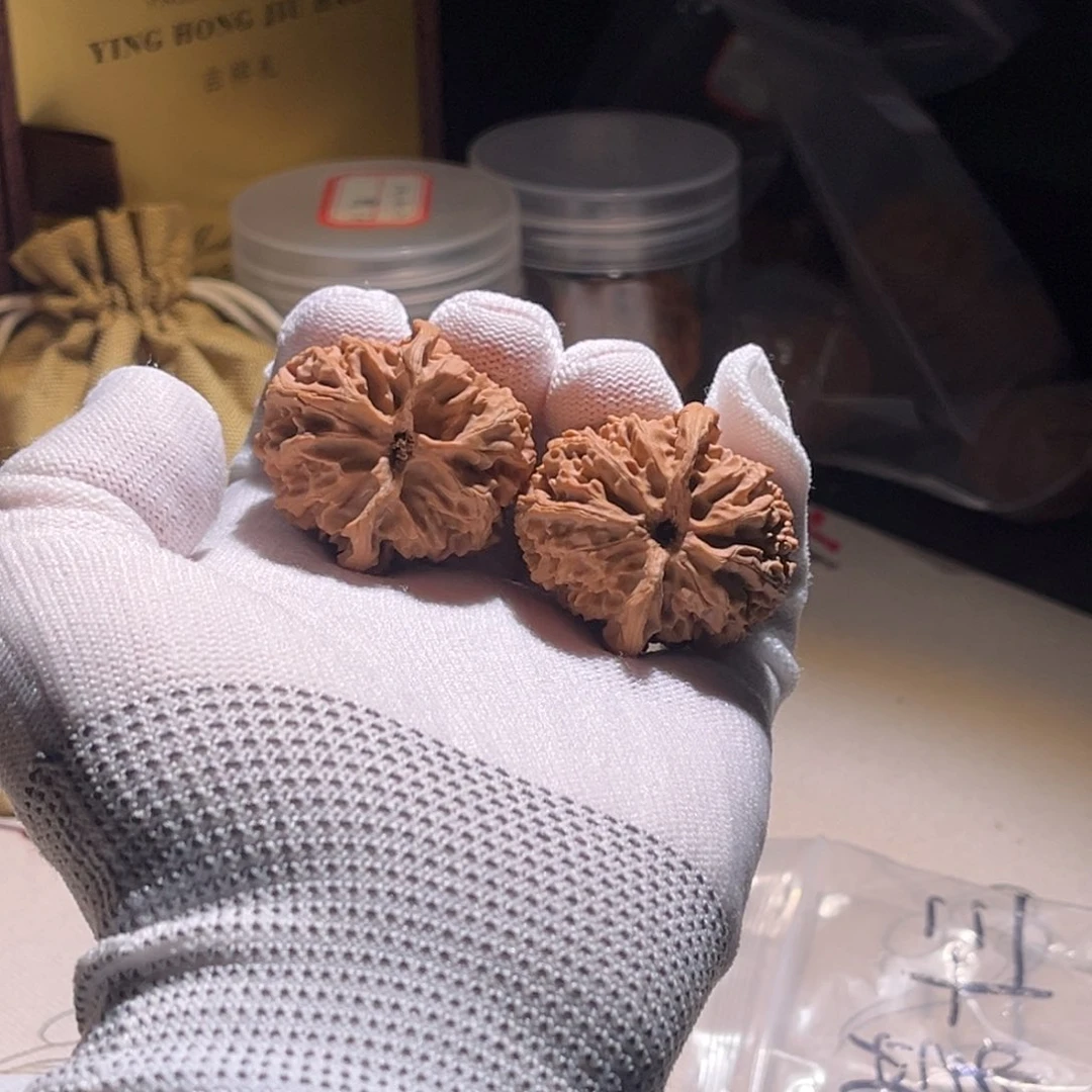 东***子钱品。苹果园。全品。