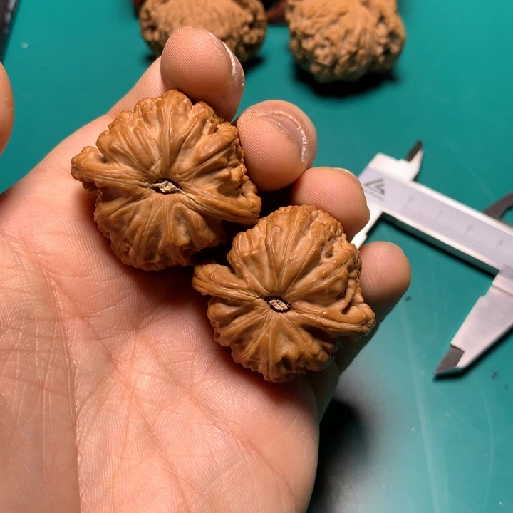 把件文玩核桃策**?白狮子