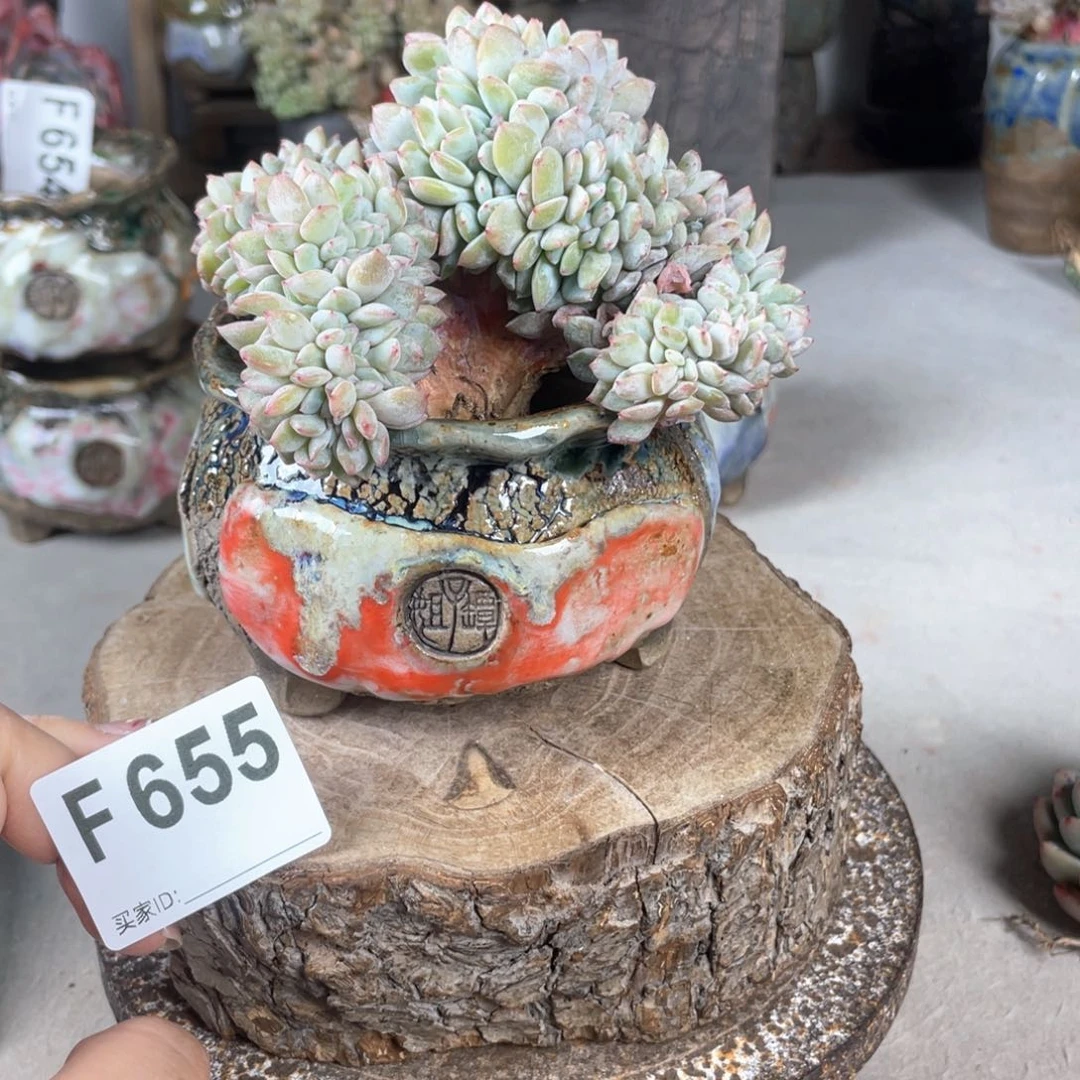紫砂花盆孤品 不规则油画山石 钱袋外口9 不含肉
