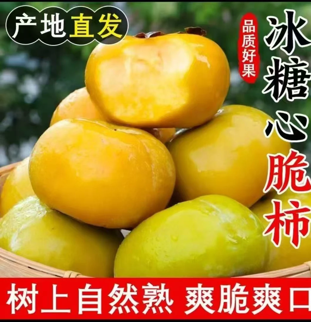 山西新鲜现摘甜脆柿子应季水果爆汁脆软多汁香甜可口