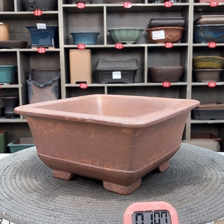 紫砂花盆T****?紫砂的花也太美