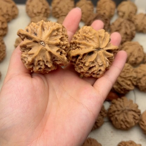 桃核吊坠秦岭山脉的一个10