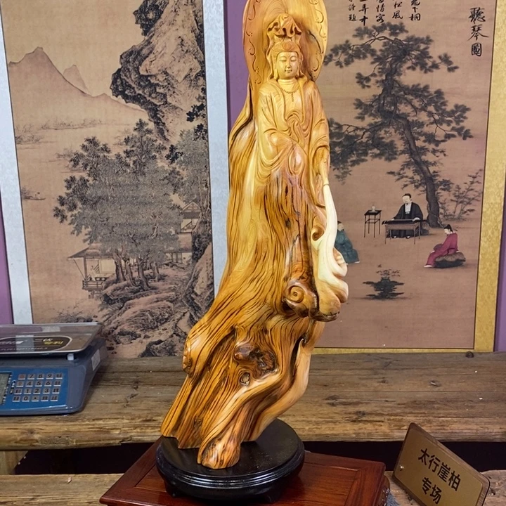 用***5柏木（崖柏）崖柏11111