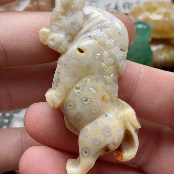 硅化珊瑚（珊瑚玉）颈饰未镶嵌