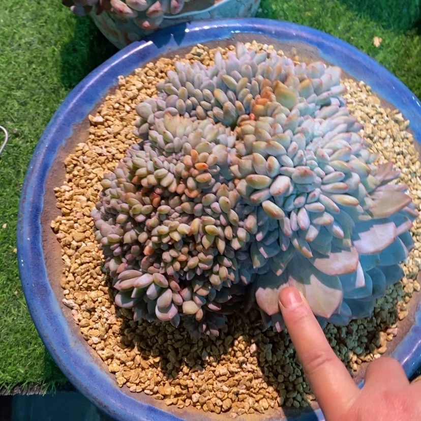 【闪购商品】南**x111