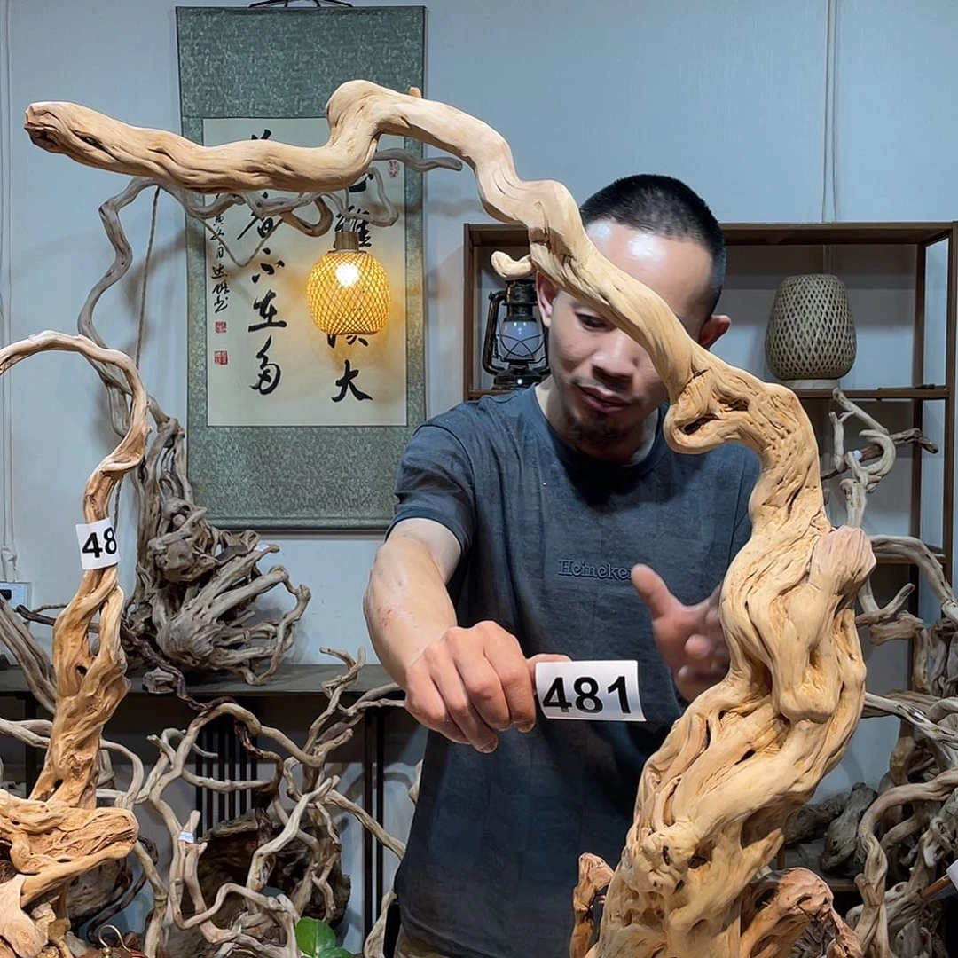 香榧木大*?是否我们都已经看到了