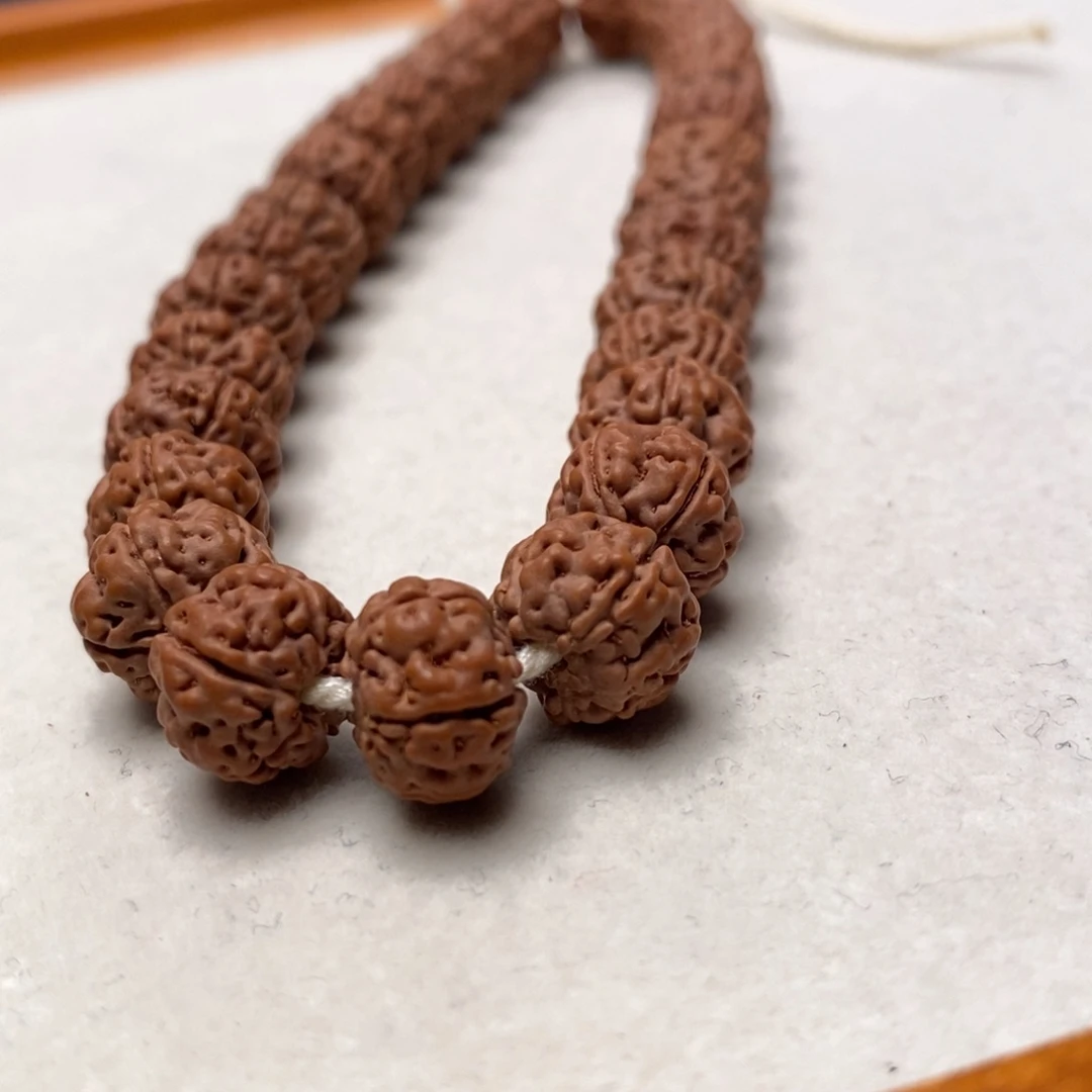 長***安菩提籽类老树王手持