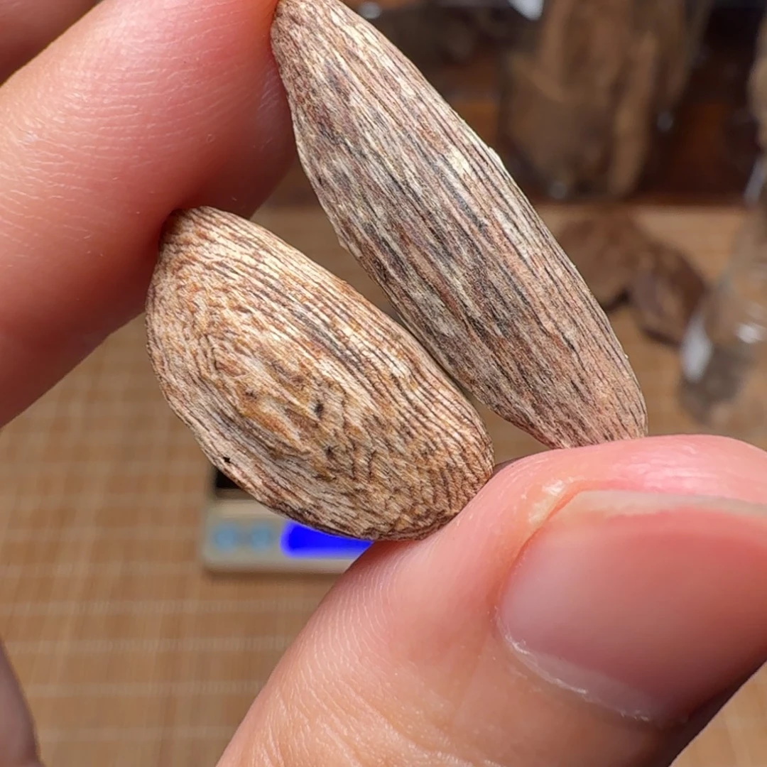 沉香香港大屿山棋韵瓜子