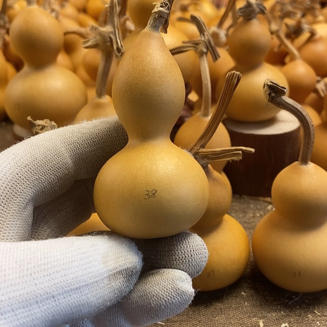 文玩葫芦 完美主义者 慎拍38