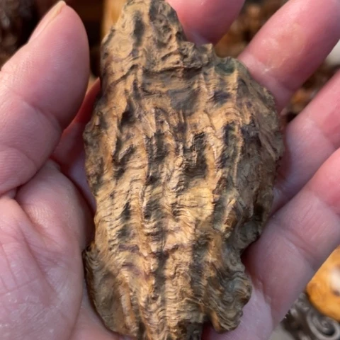 【闪购商品】把件黄花梨/降香黄檀